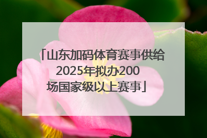 山东加码体育赛事供给 2025年拟办200场国家级以上赛事