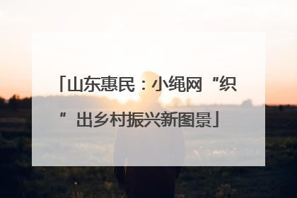 山东惠民：小绳网“织”出乡村振兴新图景