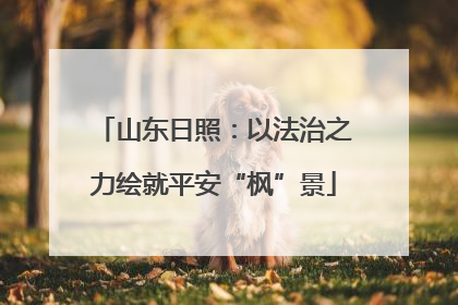 山东日照：以法治之力绘就平安“枫”景