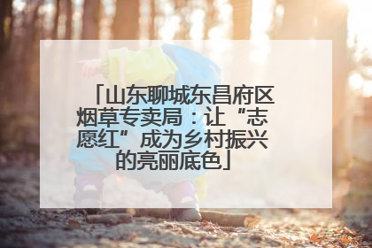 山东聊城东昌府区烟草专卖局：让“志愿红”成为乡村振兴的亮丽底色