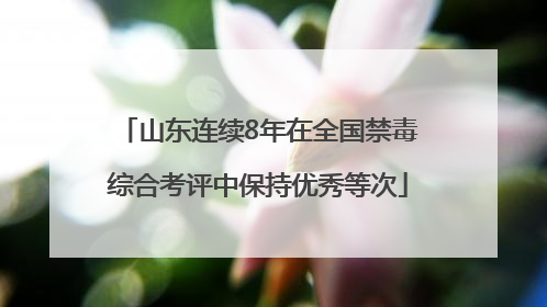山东连续8年在全国禁毒综合考评中保持优秀等次