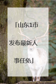 山东1市发布最新人事任免