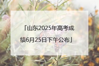山东2025年高考成绩6月25日下午公布