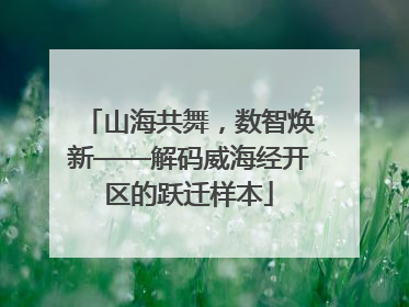山海共舞，数智焕新——解码威海经开区的跃迁样本