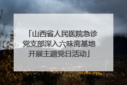 山西省人民医院急诊党支部深入六味斋基地开展主题党日活动