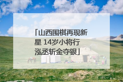 山西围棋再现新星 14岁小将行泓丞斩金夺银