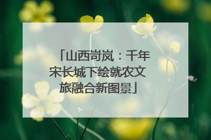 山西岢岚：千年宋长城下绘就农文旅融合新图景