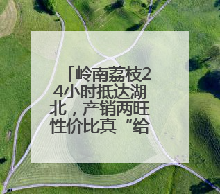 岭南荔枝24小时抵达湖北，产销两旺性价比真“给荔”