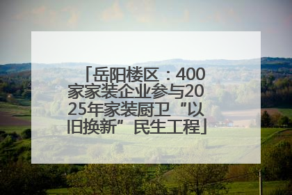 岳阳楼区：400家家装企业参与2025年家装厨卫“以旧换新”民生工程