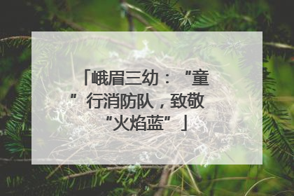 峨眉三幼：“童”行消防队，致敬“火焰蓝”