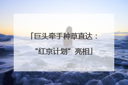巨头牵手种草直达：“红京计划”亮相