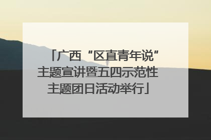 广西“区直青年说”主题宣讲暨五四示范性主题团日活动举行