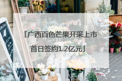 广西百色芒果开采上市 首日签约1.2亿元