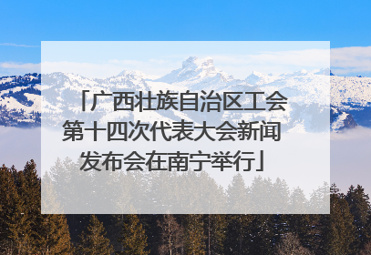 广西壮族自治区工会第十四次代表大会新闻发布会在南宁举行