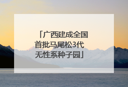 广西建成全国首批马尾松3代无性系种子园