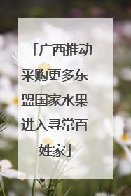 广西推动采购更多东盟国家水果进入寻常百姓家