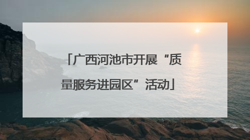 广西河池市开展“质量服务进园区”活动