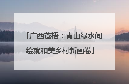 广西苍梧：青山绿水间绘就和美乡村新画卷