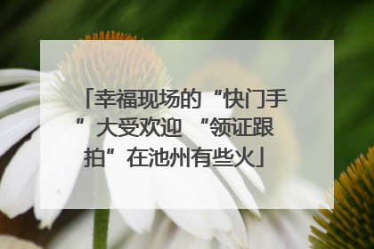 幸福现场的“快门手”大受欢迎 “领证跟拍”在池州有些火
