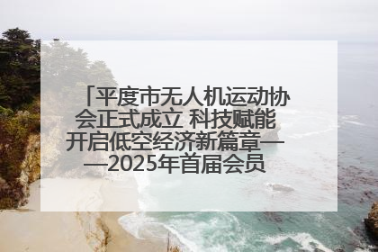 平度市无人机运动协会正式成立 科技赋能开启低空经济新篇章——2025年首届会员大会暨无人机应用发展论坛成功举办