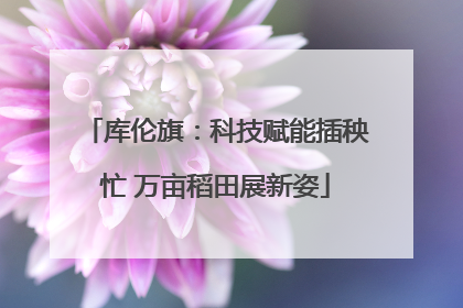 库伦旗：科技赋能插秧忙 万亩稻田展新姿