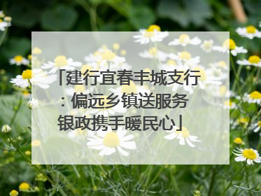 建行宜春丰城支行：偏远乡镇送服务 银政携手暖民心
