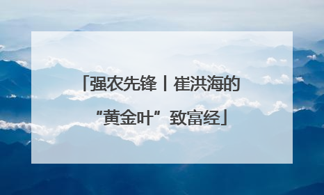 强农先锋丨崔洪海的“黄金叶”致富经