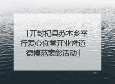 开封杞县苏木乡举行爱心食堂开业暨道德模范表彰活动