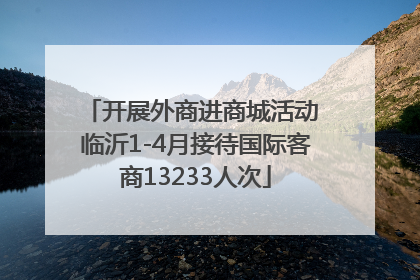 开展外商进商城活动 临沂1-4月接待国际客商13233人次