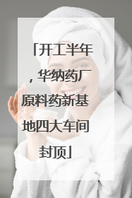 开工半年，华纳药厂原料药新基地四大车间封顶