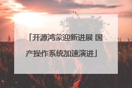 开源鸿蒙迎新进展 国产操作系统加速演进