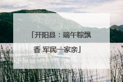开阳县：端午粽飘香 军民一家亲