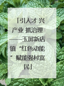引人才 兴产业 抓治理——玉屏新店镇“红色动能”赋能强村富民