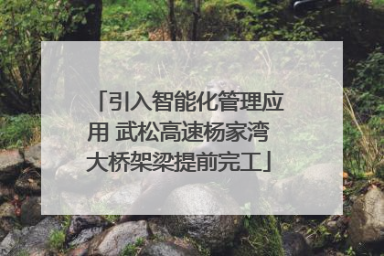 引入智能化管理应用 武松高速杨家湾大桥架梁提前完工
