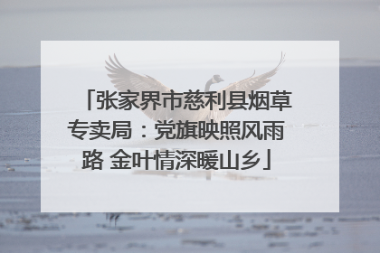 张家界市慈利县烟草专卖局：党旗映照风雨路 金叶情深暖山乡