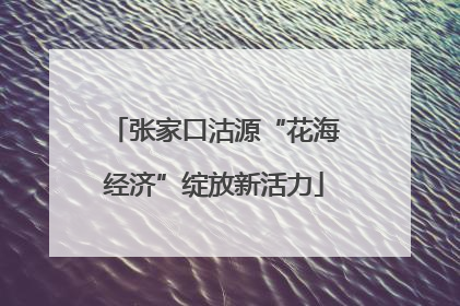 张家口沽源“花海经济”绽放新活力