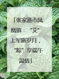 张家港市凤凰镇：“艾”上军旅岁月，“粽”享端午温情