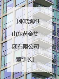 张晓海任山东黄金集团有限公司董事长