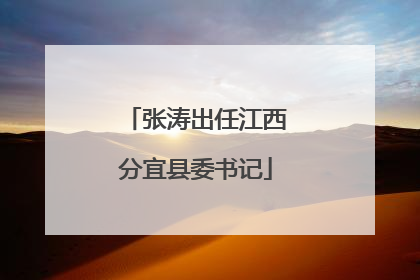 张涛出任江西分宜县委书记