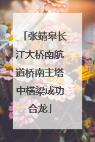张靖皋长江大桥南航道桥南主塔中横梁成功合龙
