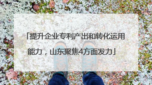 提升企业专利产出和转化运用能力，山东聚焦4方面发力