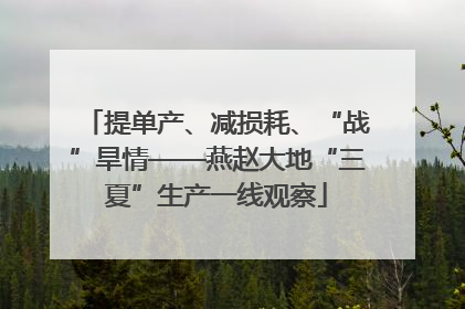 提单产、减损耗、“战”旱情——燕赵大地“三夏”生产一线观察