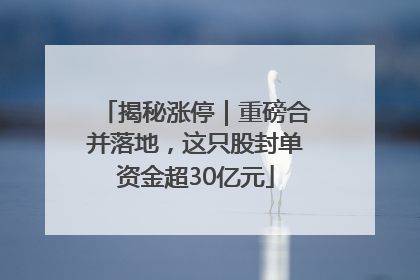 揭秘涨停｜重磅合并落地，这只股封单资金超30亿元