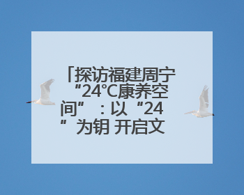 探访福建周宁“24℃康养空间”：以“24”为钥 开启文旅新篇