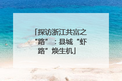 探访浙江共富之“路”：县城“虾路”焕生机