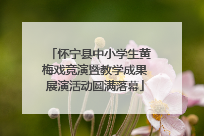 怀宁县中小学生黄梅戏竞演暨教学成果展演活动圆满落幕