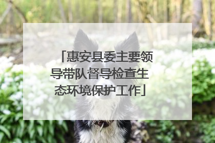 惠安县委主要领导带队督导检查生态环境保护工作