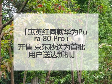 惠英红同款华为Pura 80 Pro+开售 京东秒送为首批用户送达新机