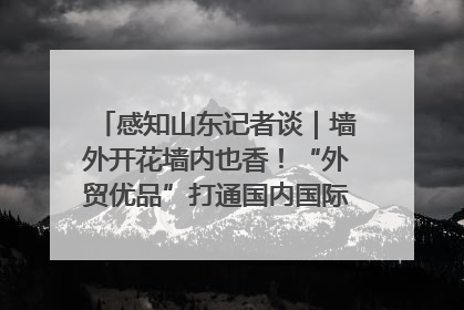 感知山东记者谈｜墙外开花墙内也香！“外贸优品”打通国内国际市场“旋转门”