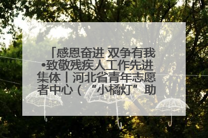 感恩奋进 双争有我•致敬残疾人工作先进集体丨河北省青年志愿者中心（“小橘灯”助残接力计划实施团队）：用温暖陪伴，守护特殊孩子成长